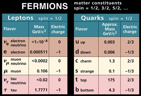 feesiemons|FERMION Definition & Meaning .